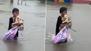 Malaysia Floods: Kid Saves 3 Stranded Cats, Walks With Them on Waterlogged Road; Heart-Warming Rescue Video Goes Viral