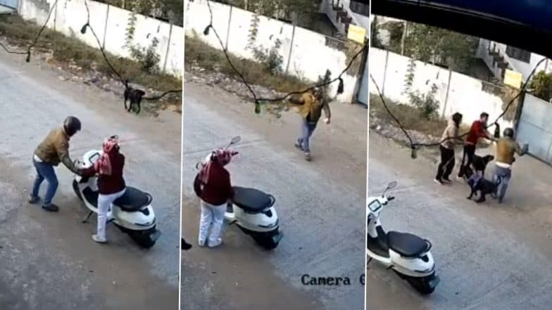 Bhopal: Man Kicked, Punched and Beaten With Belt By Pet Owners For Throwing Stones At Dogs Chasing Him, Video Goes Viral