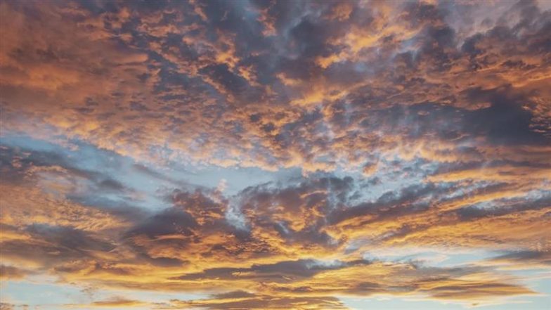 Weather Forecast Today, December 16: Check Weather Updates, Rain Predictions for Mumbai, Delhi, Chennai, Bengaluru, Hyderabad and Kolkata