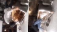 Worli Horror: Man Gets Stuck In Grinder While Making Chinese Bhel In Mumbai, Crushed to Death; Disturbing Video Surfaces