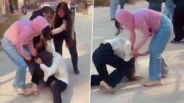 WWW-Style Brawl in Greater Noida: 2 Female Students Fight, Pull Each Other’s Hair in Knowledge Park; Video Goes Viral