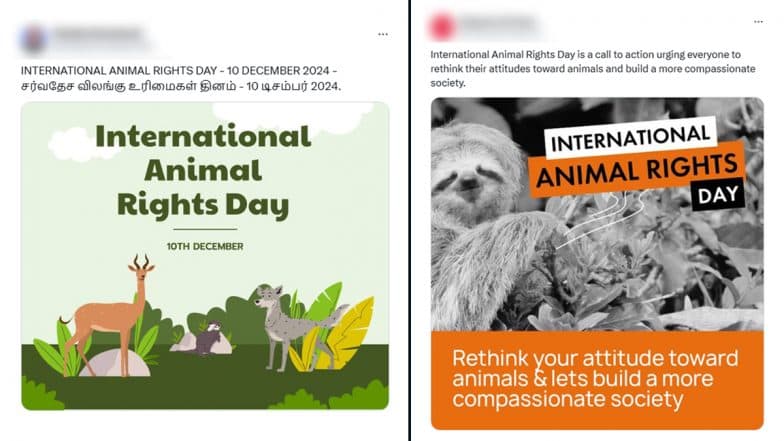 International Animal Rights Day 2024 Images and HD Wallpapers: Netizens Share Messages, Quotes, Posts and Videos to Raise Awareness About Animal Rights