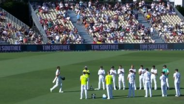 NZ vs ENG 3rd Test 2024: Tim Southee Receives Guard of Honour From England Cricketers in His Farewell Test (Watch Video)