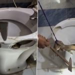 ‘Accidents Can Happen Anywhere’: Man Carefully Rescues Reptile After Monitor Lizard Coils Itself Inside Toilet Commode, Viral Video Surfaces