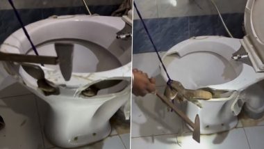 'Accidents Can Happen Anywhere': Man Carefully Rescues Reptile After Monitor Lizard Coils Itself Inside Toilet Commode, Viral Video Surfaces