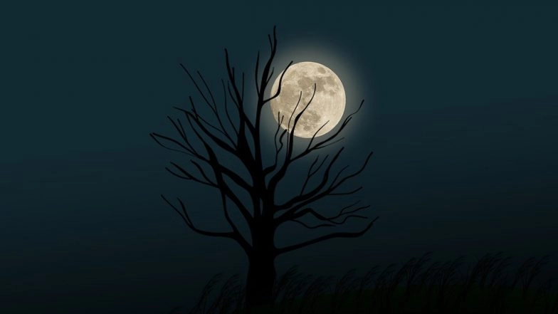 Cold Moon 2024 Date and Time: When Is Margashirsha Purnima? What Is the Best Viewing Time? Here&rsquo;s All You Need to Know About the Last Full Moon of the Year