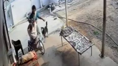 Telangana: Woman Slaps and Assaults Wheelchair-Bound Father-in-Law With 'Chappal' in Nalgonda, Disturbing Video Goes Viral