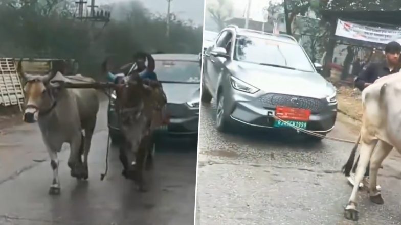 Rajasthan: Yoke of Oxen Used To Pull Anil Singh Medtia's Electric Car After It Breaks Down in Didwana, Video Goes Viral