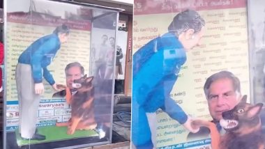 Tamil Nadu Bakery Makes 7-Foot-Tall Cake of Ratan Tata and His Dog for Christmas Celebrations