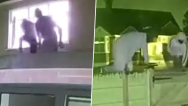 British Homeowner Wakes Up to Shocking Sight of Burglars on His Roof Attempting to Break Into His House, Chilling Moment Captured in Viral Video (Watch)