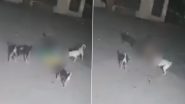 Dog Atack in Thane: Pack of Stray Dogs Attack Woman, Tear Her Clothes by Dragging Her for 100 Metres at Regency Sarvam Housing Complex in Titwala; Disturbing Video Surfaces