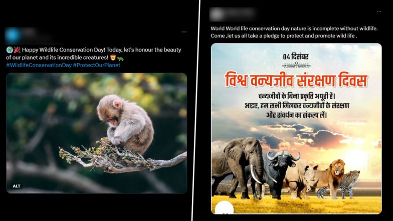 World Wildlife Conservation Day 2024 Messages and Posts: Netizens Share HD Images, Wallpapers, Quotes, Wishes, Greetings and Stunning Videos of Wildlife to Celebrate the Day