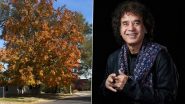 Zakir Hussain Dies at 73: Tabla Maestro’s Last Instagram Post on ‘Wonder Moment’ Goes Viral