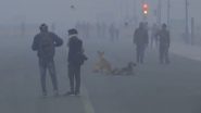 Delhi Air Pollution: Air Quality in ‘Very Poor’ Category in National Capital, Cold Wave Persists (Watch Videos)