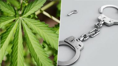 CPI MLA's Son Among 9 Held for Possessing Ganja, Legislator Denies Allegation