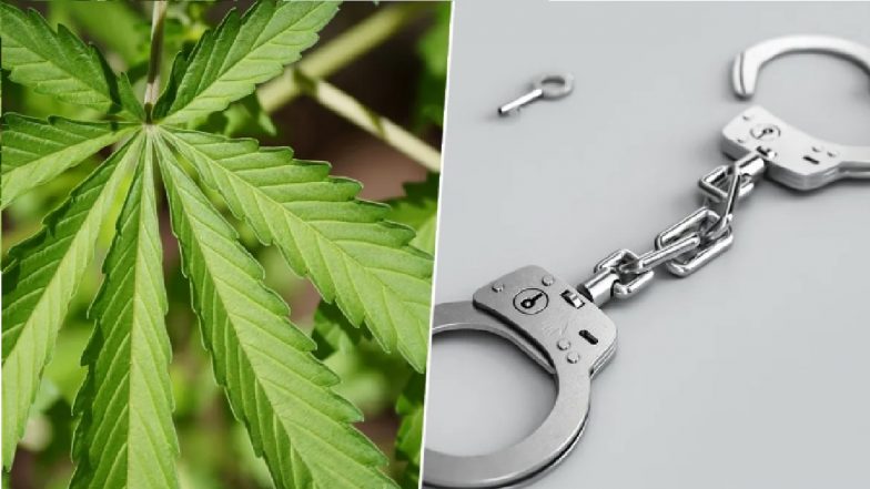 Hyderabad Police Seize 160 kg Ganja, Arrest 3 in Narcotics Bust Worth INR 48 Lakh