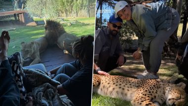 Sonakshi Sinha and Zaheer Iqbal Enjoy Wild Vacation in Australia, Share Adorable Moments with Lions (View Pics)