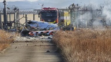 Plane Burst into Flames After Skidding off Runway at Airport in South Korea, Killing at Least 28