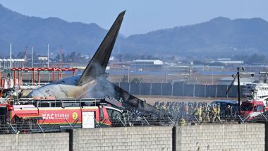 Plane Bursts into Flames After Skidding off Runway at Airport in South Korea, Killing 62 People