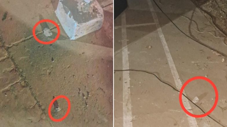 The Sabarmati Report Screening Disrupted in JNU Campus After Stone Pelting; ABVP, Left Trade Allegations