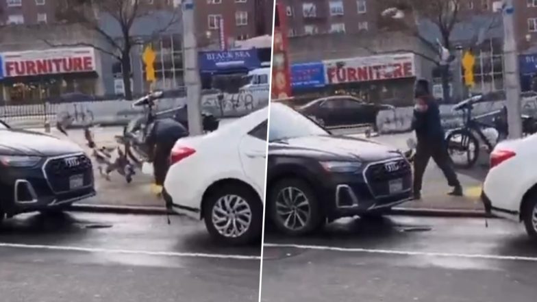 NYC: ‘MS Halal Food’ Cart Worker Catches Pigeon off Pavement With Bare Hands, Netizens Call for Action After ‘Disgusting’ Video Goes Viral