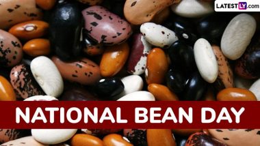 Different Types of Beans To Celebrate National Bean Day 2025