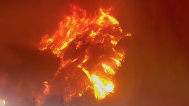 California Wildfires: At Least 2 People Killed, Many Injured, Over 1000 Structures Destroyed As Several Fires Erupt in US’ Los Angeles Amid Dry and Windy Conditions (Watch Videos)