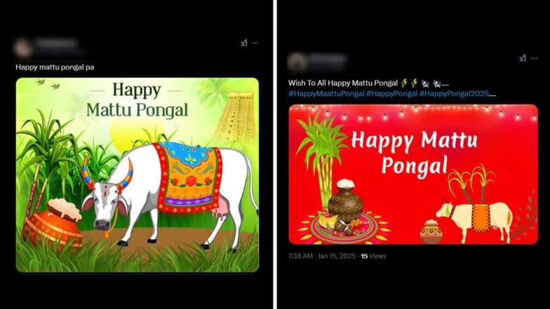 Mattu Pongal 2025 Messages and Quotes: Netizens Share Wishes, Greetings, Images and HD Wallpapers To Celebrate the Third Day of the Harvest Festival