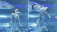Russian Performer Attacked by Giant Fish: Viral Video Shows Masha Being Attacked by Water Animal During Mermaid Act at China&rsquo;s Aquarium