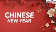 Chinese New Year 2025 Date: Know Year of the Wood Snake Meaning and Significance To Welcome Lunar New Year and Celebrate the Spring Festival