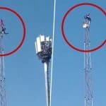 Bhopal Shocker: Drunk Man Climbs Mobile Tower, Rescued by Police, Under Custody (Watch Video)