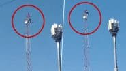 Bhopal Shocker: Drunk Man Climbs Mobile Tower, Rescued by Police, Under Custody (Watch Video)