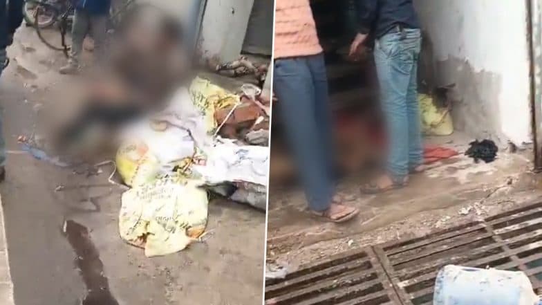 Agra Bakery Blast: Workers Severely Injured in Explosion at Medley Bakers in Uttar Pradesh, Disturbing Video Surfaces