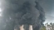 Andhra Pradesh Fire: Massive Blaze Erupts in Anakapalli's Metro Chem Pharma Company; No Casualties, Injuries Reported (Watch Video)