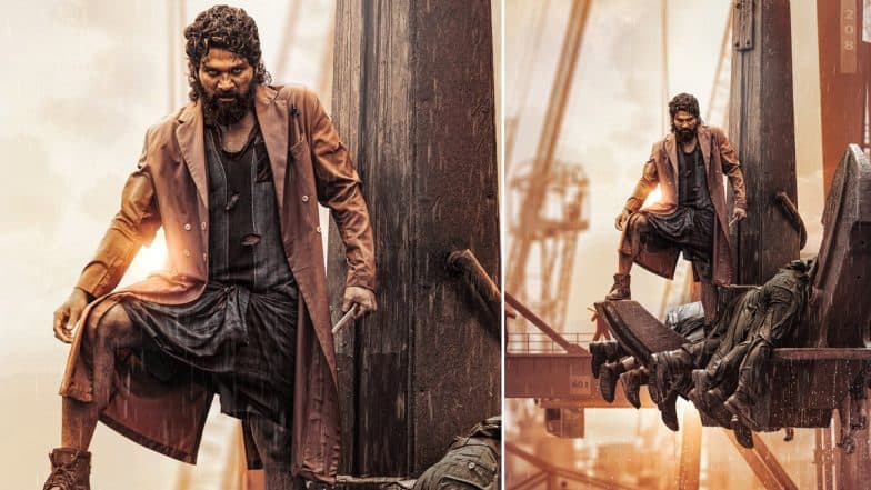 ‘Pushpa 2 Reloaded’: Allu Arjun Expresses Excitement As Extended Version of His Telugu Blockbuster Releases, Says ‘Hope You Have a New Experience’ (View Post) | 🎥 Morning Tidings