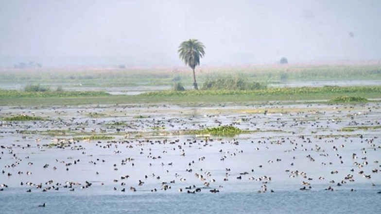 World Wetlands Day Reminds Vital Role Wetlands Play in Sustaining Life