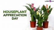 National Houseplant Appreciation Day 2025: Peace Lily, Spider Plant – 5 Beginner-Friendly Indoor Houseplants for a Cleaner Air