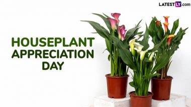 5 Indoor Houseplants That Ensure Cleaner Air To Know About on Houseplant Appreciation Day