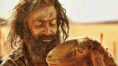 Prithviraj Sukumaran’s ‘Aadujeevitham: The Goat Life’ Bags Nominations at 72nd Golden Reel Awards