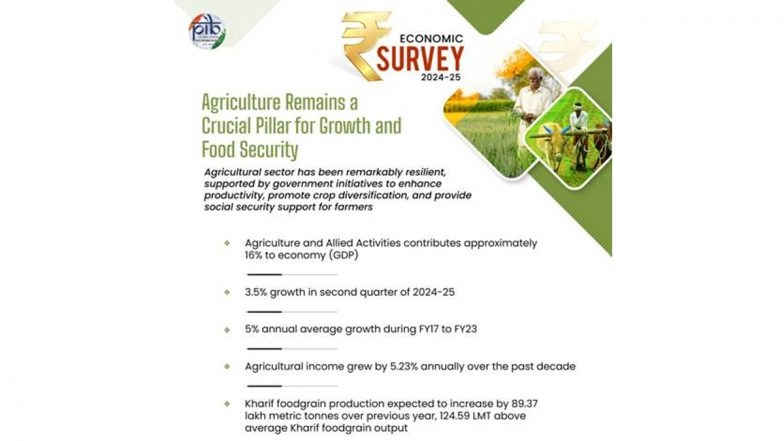 India’s Agricultural Income Surges 5.23% Annually Over Past Decade: Economic Survey 2024
