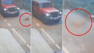 Bengaluru Horror: Stray Dog Dies After Being Run Over by SUV, Case Registered As Disturbing Video Goes Viral