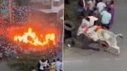 Makar Sankranti Celebration in Hosahalli Turns Tragic as Bull Knocks 3 Men to Ground During Race Over Fire in Karnataka's Mandya, Video Surfaces