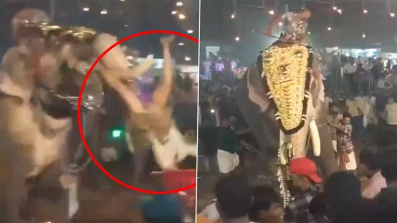 Malappuram: Elephant Swings Man in Air After Running Amok During Annual Offering at BP Angadi Mosque in Kerala’s Tirur, Scary Video Surfaces