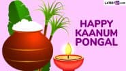 Kaanum Pongal 2025 Images and HD Wallpapers for Free Download Online: Wish Happy Kaanum Pongal With WhatsApp Status, Photos and SMS for the 4th Day of Pongal