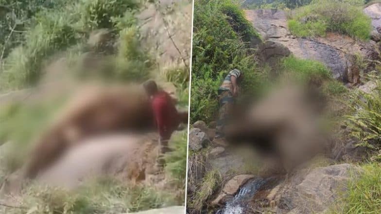 Tamil Nadu: Elephant Falls Into 70-Foot Gorge in Nilgiris While Searching for Food, Dies (See Pic and Video)