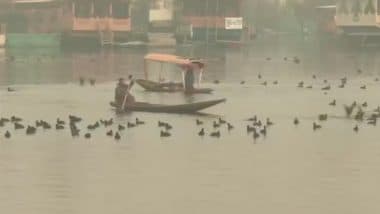 Jammu and Kashmir Weather Update: Dal Lake Shimmers in Thin Layer of Frost As Srinagar Temperature Drops to Minus 2 Degrees Celcius, Bhallesa Turns Into Winter Wonderland (Watch Videos)