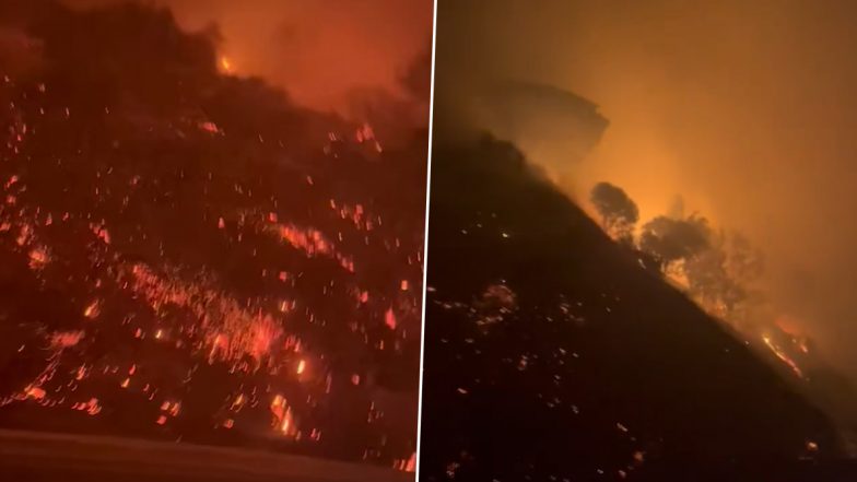 Los Angeles Wildfire: California Governor Gavin Newsom Declares Emergency as Flames Engulf Pacific Palisades, Horrifying Videos Surface