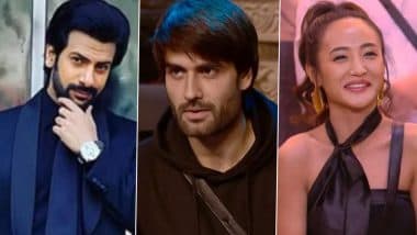 ‘Bigg Boss 18’ Grand Finale: From Karanveer Mehra to Vivian Dsena, Meet Top 7 Contenders of Salman Khan’s Reality Show