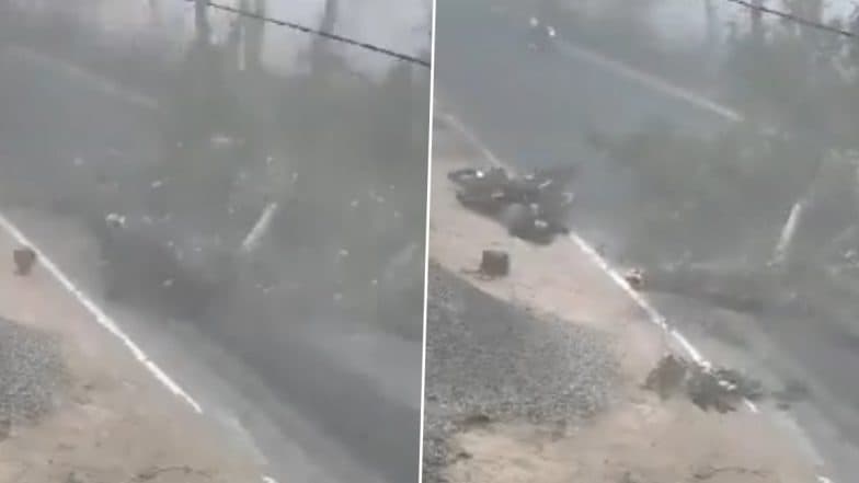 Muzaffarpur Tree Collapse: Teacher on Way To School Killed After Tree Branch Falls on Bike in Bihar, Principal Sustains Injuries (Disturbing Video)