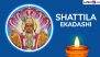 Shattila Ekadashi 2025 Wishes: Share Messages, Lord Vishnu HD Images, Wallpapers, Quotes and Tilda Ekadashi Greetings on the Auspicious Fasting Day